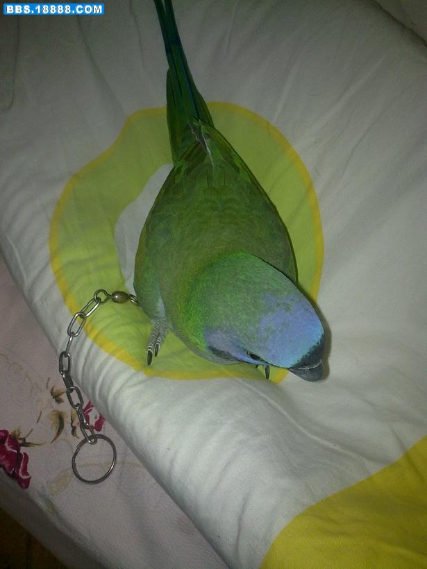 20101207213.jpg