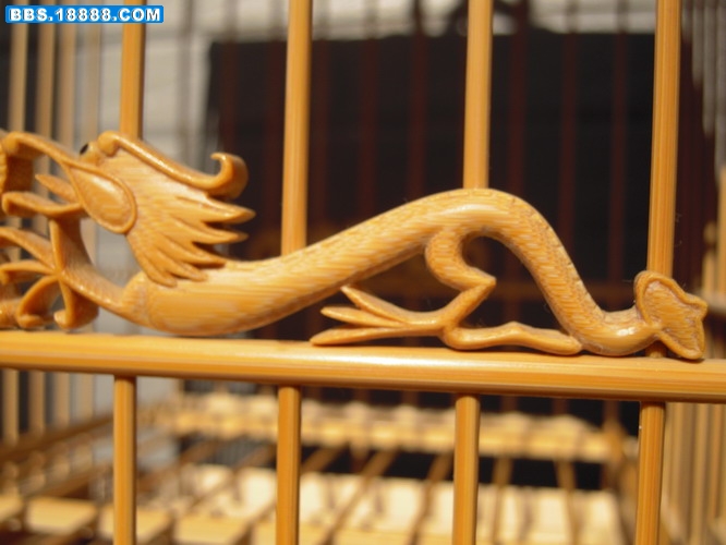 照片 155_缩小大小.jpg