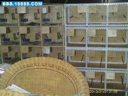 IMAG0119.JPG