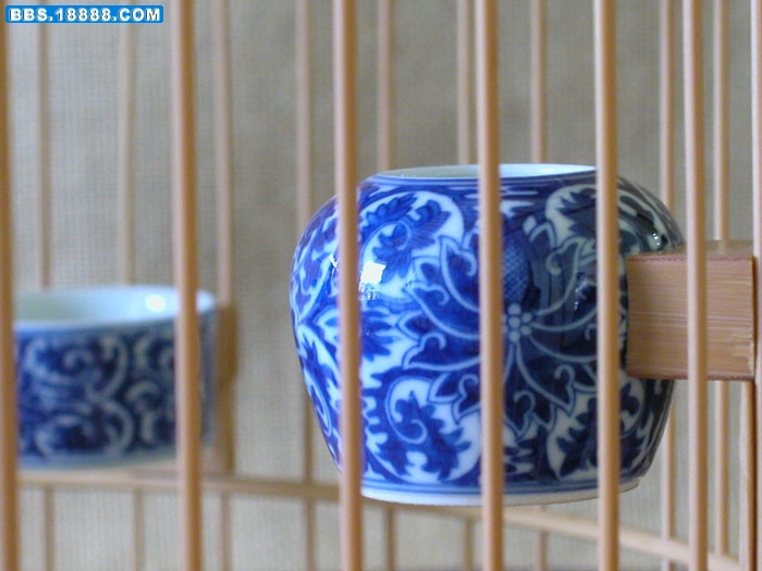2011孫杯7.jpg