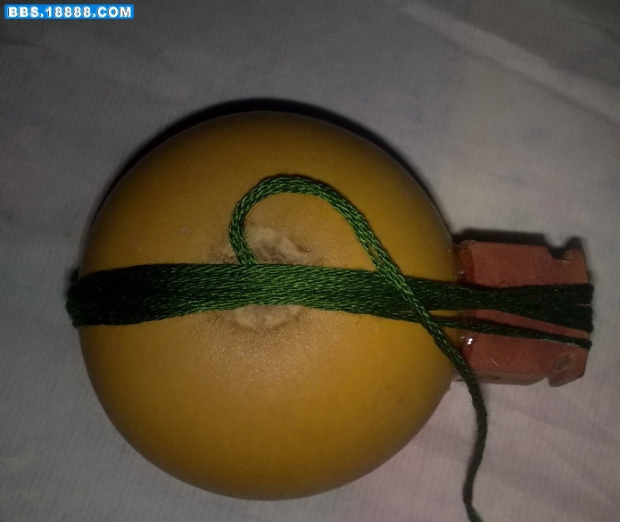 20101215026.jpg