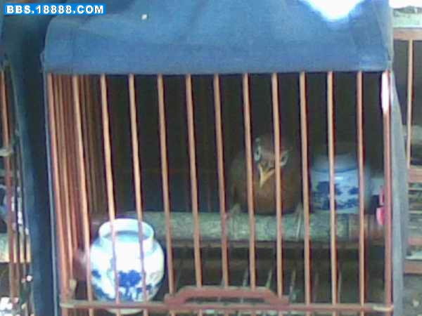 20101218(005).jpg