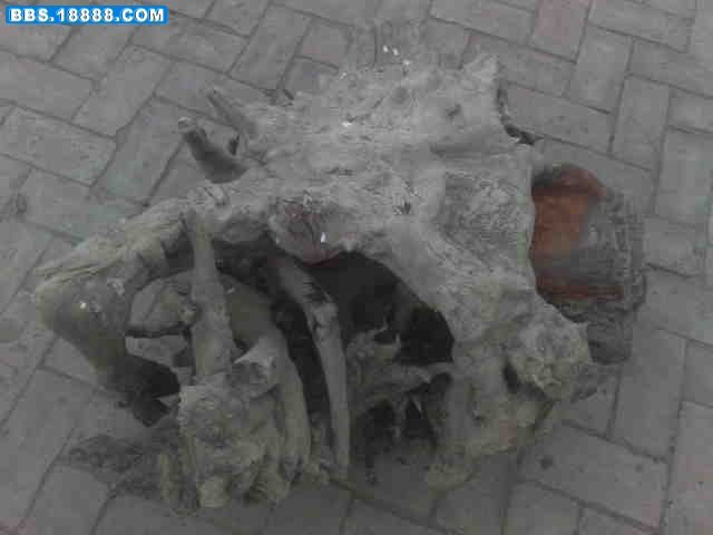 20101206711.jpg