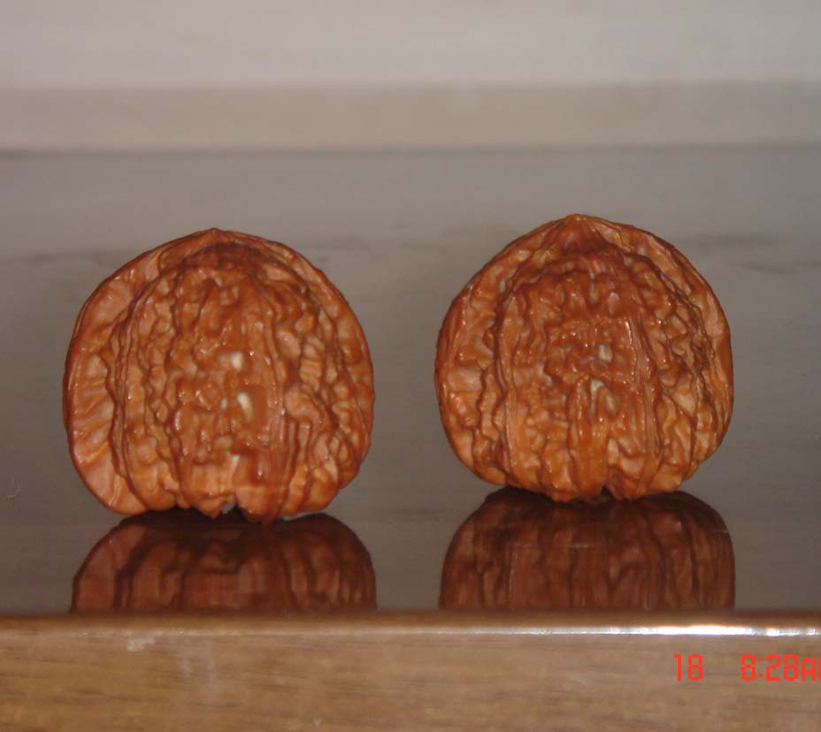 DSC06740.JPG