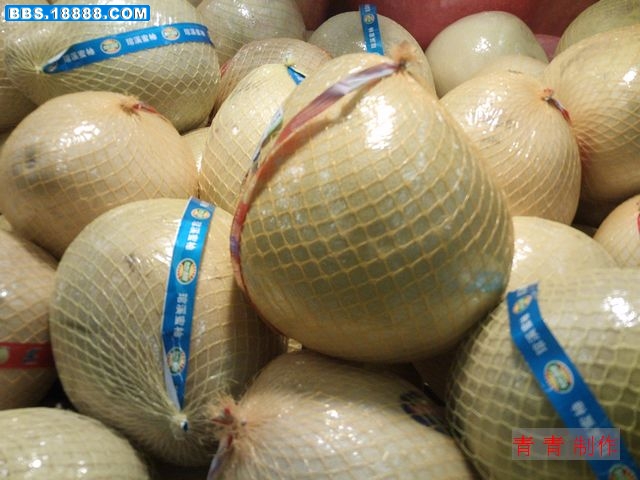 nEO_IMG_PICT0445.jpg