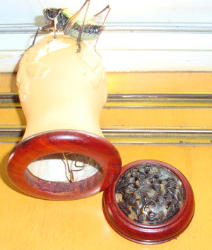 DSC01679.jpg
