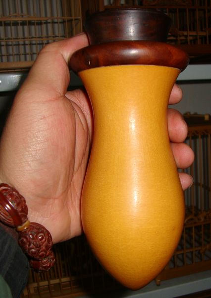 DSC08171.JPG