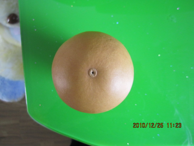 照片 003.jpg