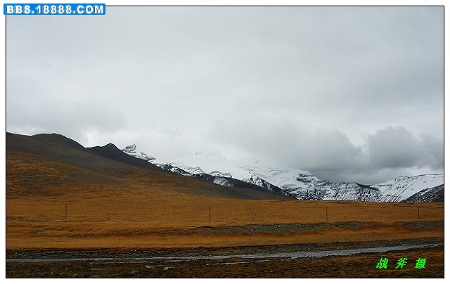 DSC00897S.jpg