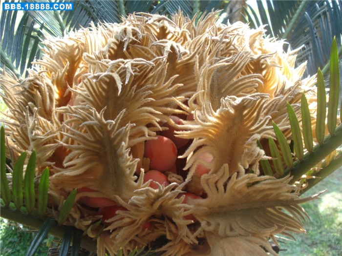 dsc00141_副本.jpg