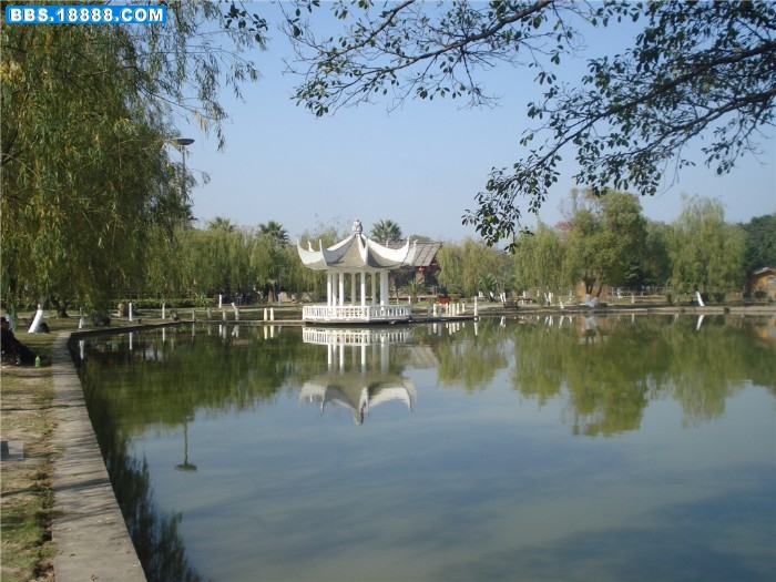 dsc00169_副本.jpg