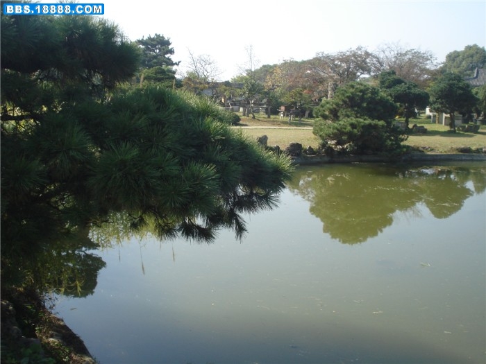 dsc00163_副本.jpg