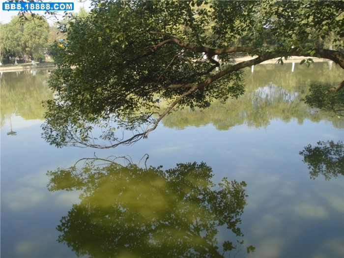 dsc00170_副本.jpg