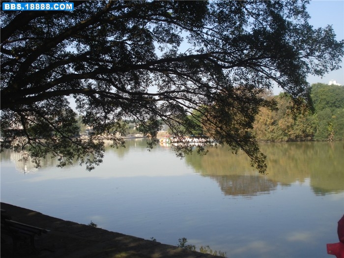 dsc00042_副本.jpg