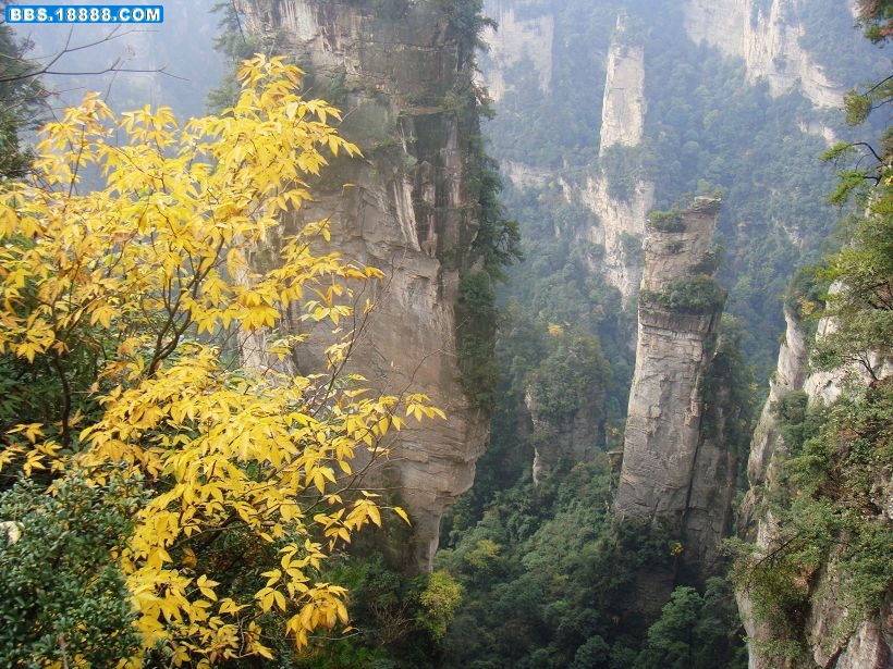 2张风光.jpg