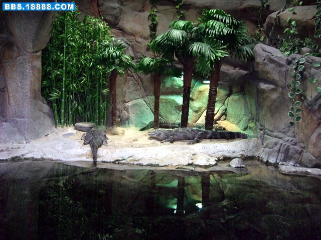 DSCF5487.jpg