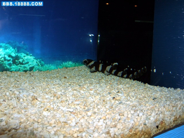 DSCF5456.jpg