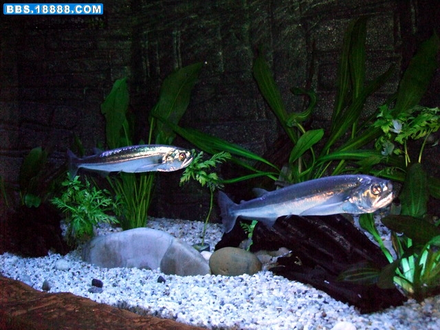 DSCF5537.jpg