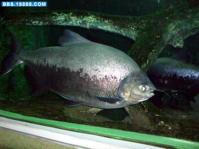 DSCF5547.jpg