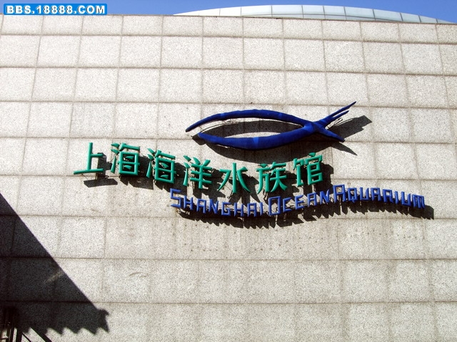 DSCF5424.jpg