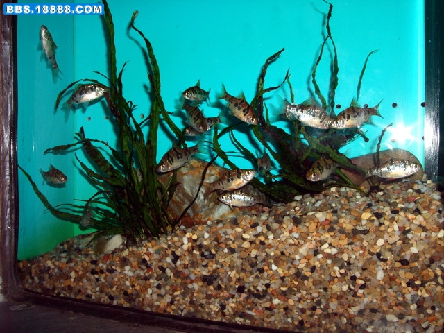 DSCF5619.jpg