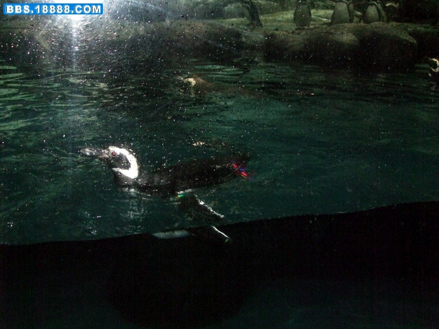 DSCF5641.jpg