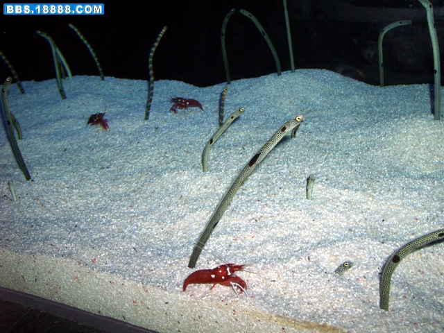 DSCF5654.jpg