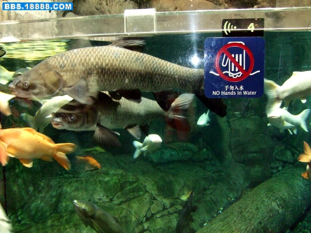 DSCF5502.jpg