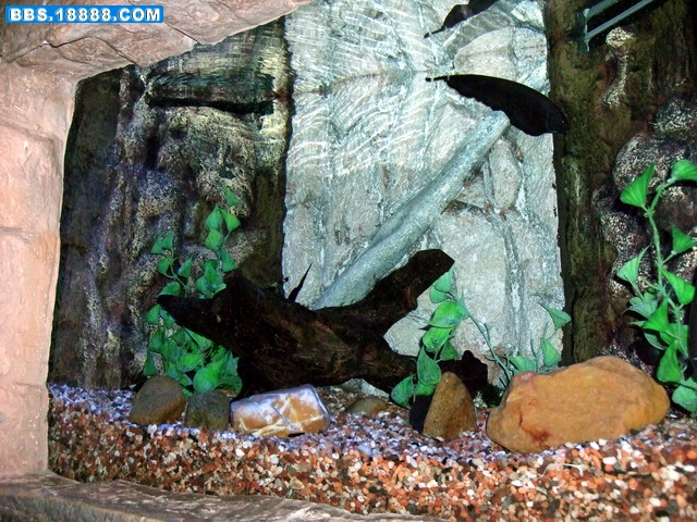 DSCF5526.jpg