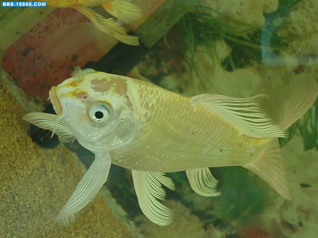 P1011141.JPG