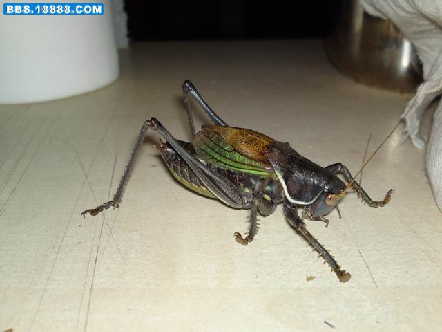 20101221711.JPG