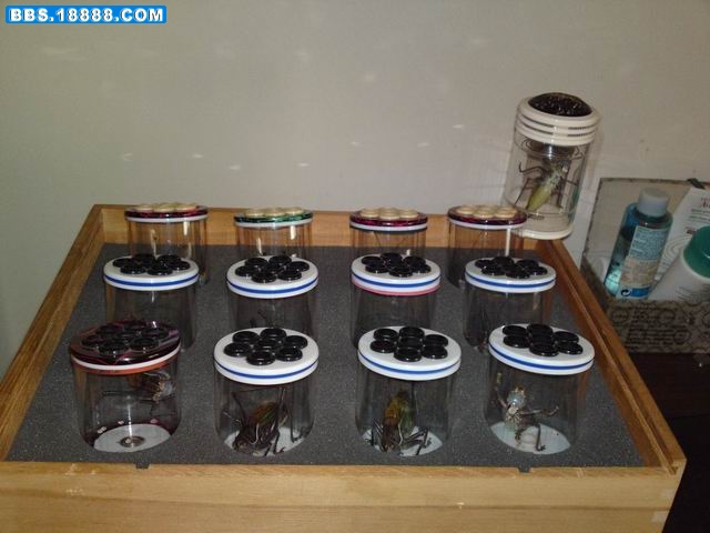 20101218693.JPG
