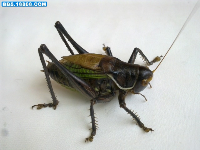 20101211054.jpg
