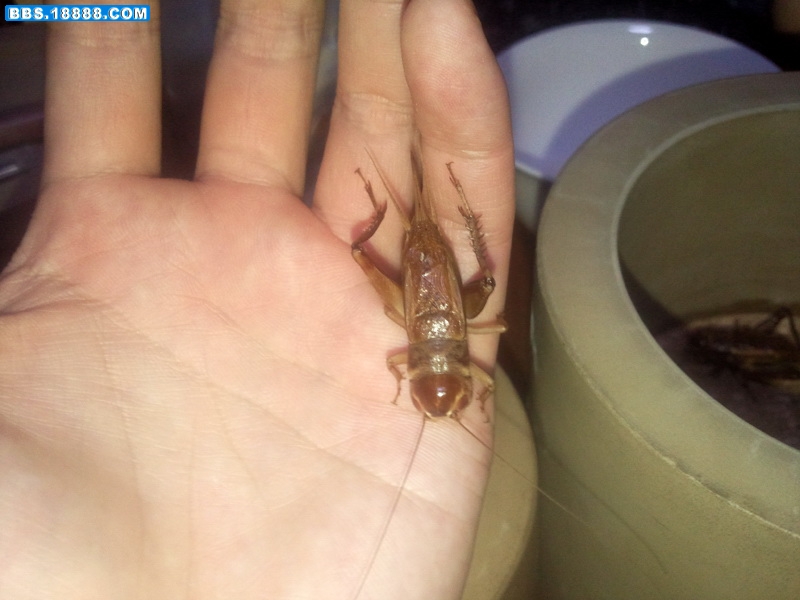 照片007.jpg