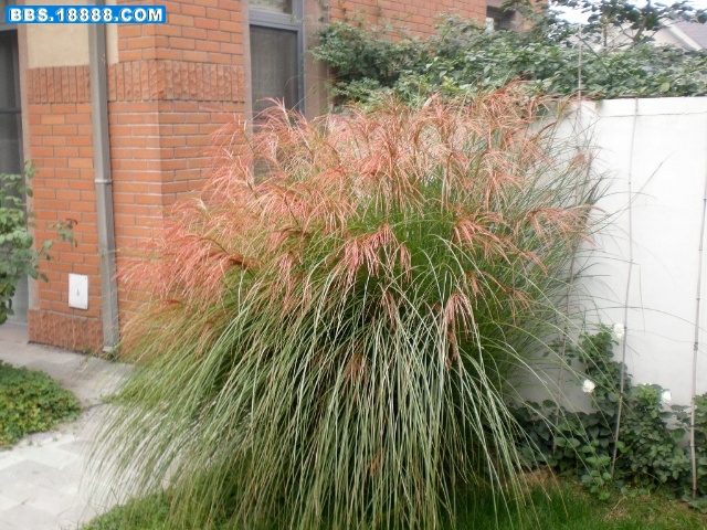 Copy of f2785056_12c5993397eg214.jpg