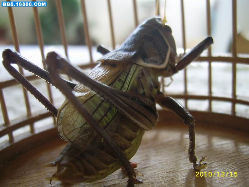 调整大小 SSA43600.JPG