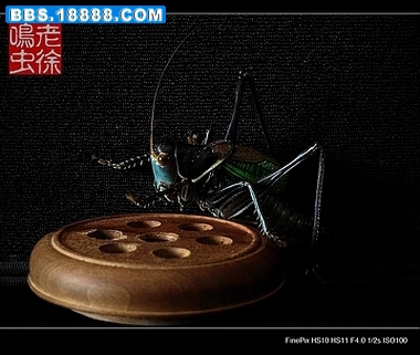DSCF33201.jpg