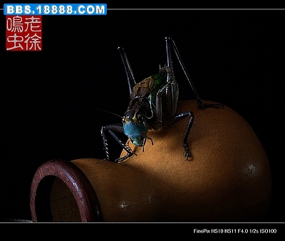 DSCF33501.jpg