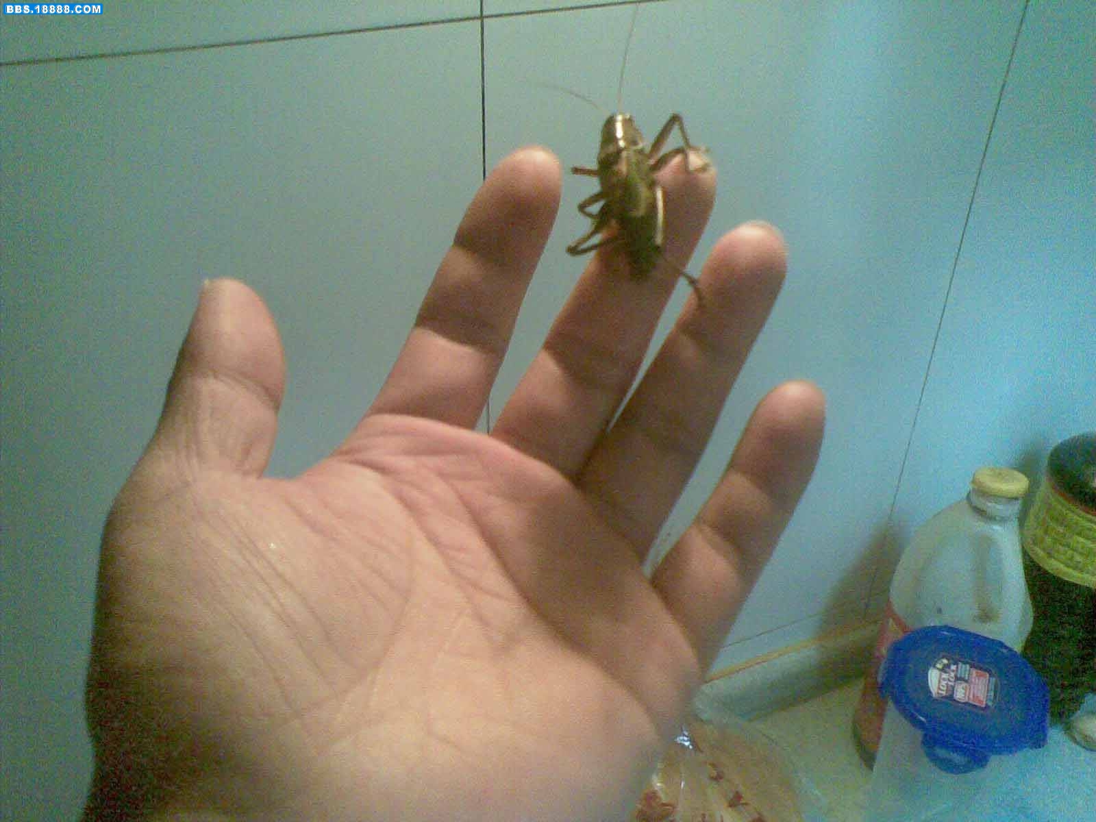 20101210(011).jpg