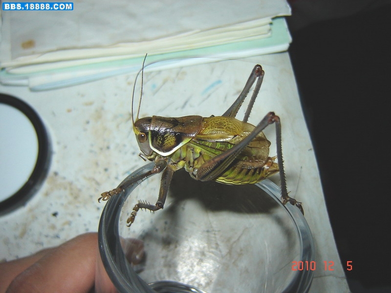 铁3.jpg