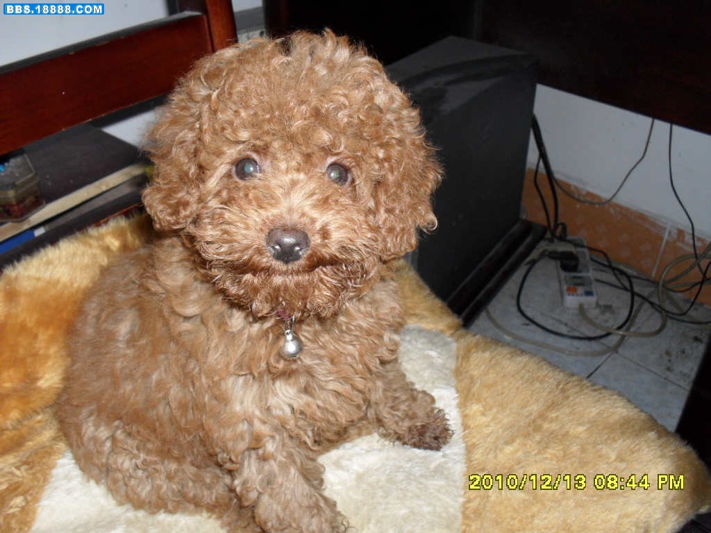 SAM_0020.JPG