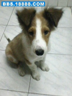 IMG0232A.jpg