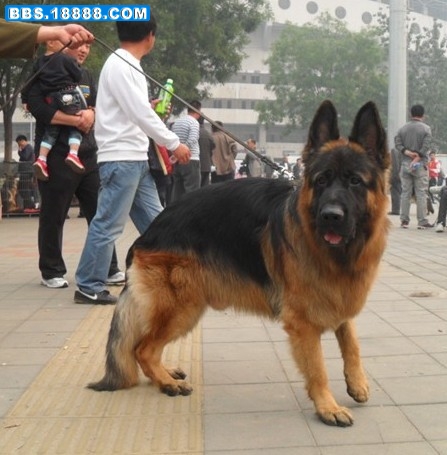 未命名38.jpg