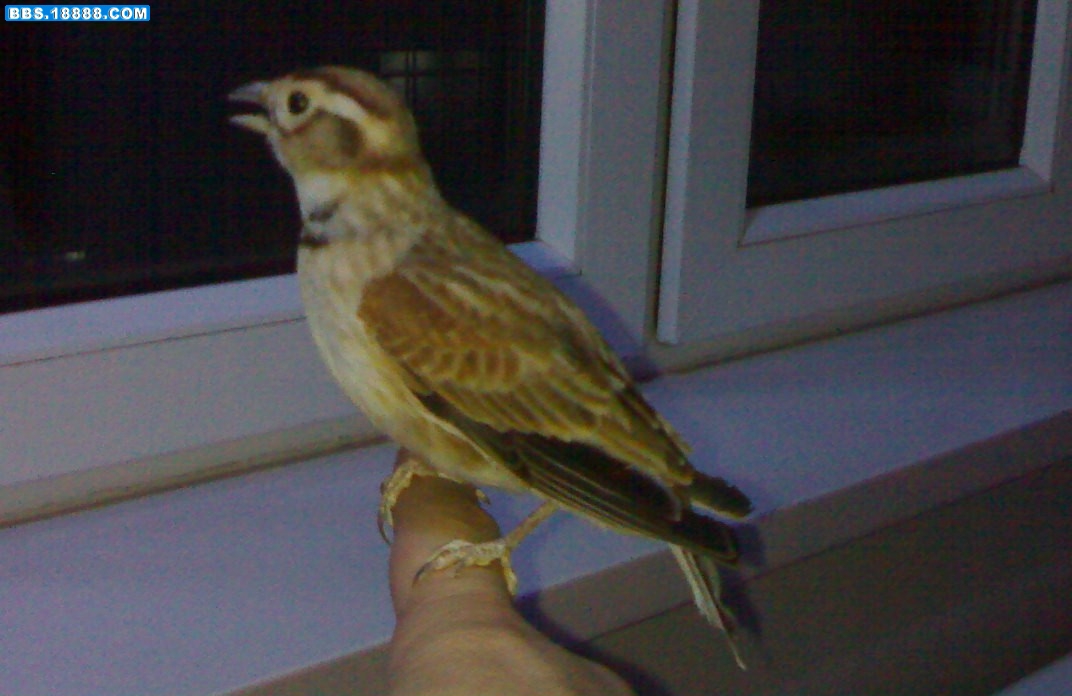 201011271461-001.jpg