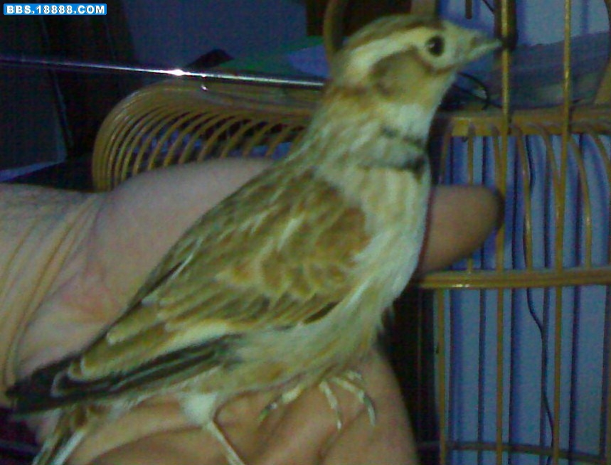 201011291481-003.jpg