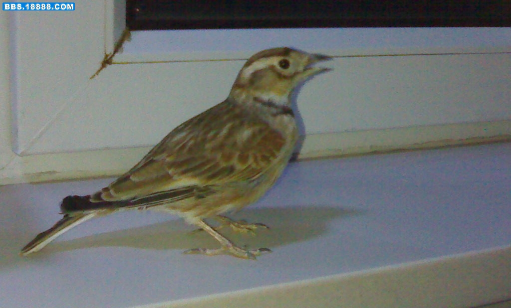 201011271452-001.jpg