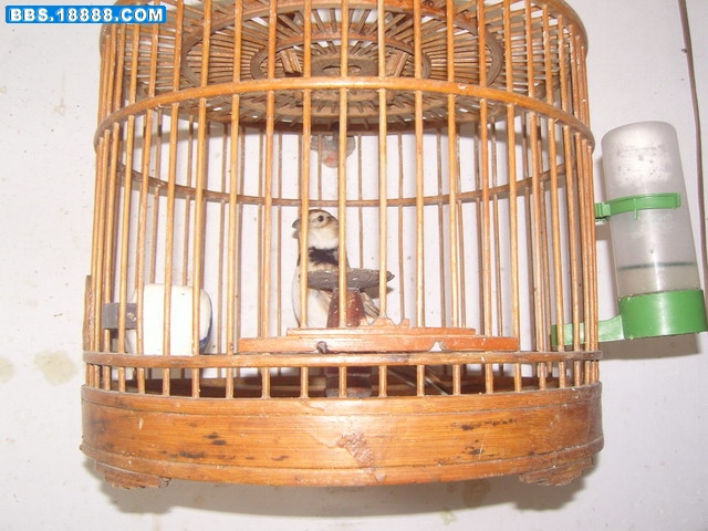 SNC10632.jpg