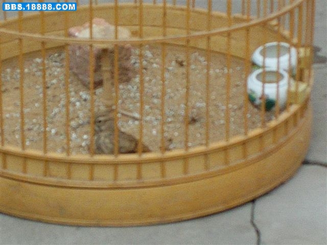 IMAG0068.JPG