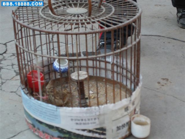 IMAG0099.JPG