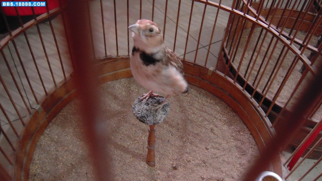 照片11 050.jpg